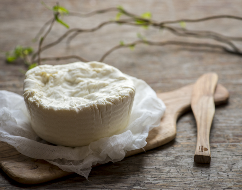 Traditional Ricotta And A Story Of Twice Failed Mozzarella Cheese