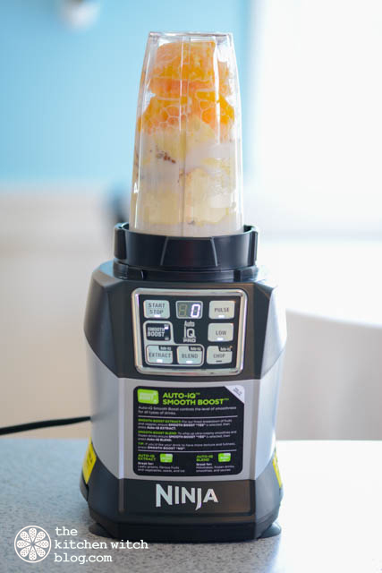Nutri Ninja Blender Duo with Auto-iQ Review – Afropolitan Mom