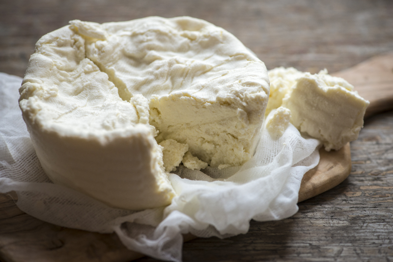 Traditional Ricotta and a story of twice failed mozzarella cheese.