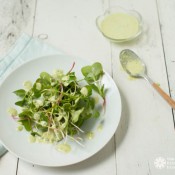 radish sprout salad ©RhondaAdkinsPhotography 2014