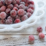 sugared cranberries©RhondaAdkinsPhotography2015sugared cranberries©Rhondasugared cranberries©RhondaAdkinsPhotogsugared cranberries©RhondaAdkinsPhotography2015sugared cranberries©RhondaAdkinsPhotography2015sugared cranberries©RhondaAdkinsPhotography2015sugared cranberries©RhondaAdkinsPhotography2015sugared cranberries©RhondaAdkinsPhotography2015sugared cranberries©RhondaAdkinsPhotography2015sugared cranberries©RhondaAdkinsPhotography2015sugared cranberries©RhondaAdkinsPhotography2015sugared cranberries©RhondaAdkinsPhotography2015sugared cranberries©RhondaAdkinsPhotography2015sugared cranberries©RhondaAdkinsPhotography2015raphy2015AdkinsPhotography2015